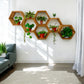 Hexagon Wall Shelves Set - 5.5'' Depth