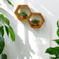 Hexagon Wall Shelves Set - 5.5'' Depth