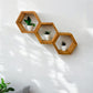 Hexagon Wall Shelves Set - 5.5'' Depth